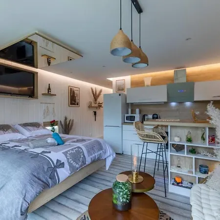 Le Quintessence: Balneo & Luminotherapie + Parking Apartmán Voiron
